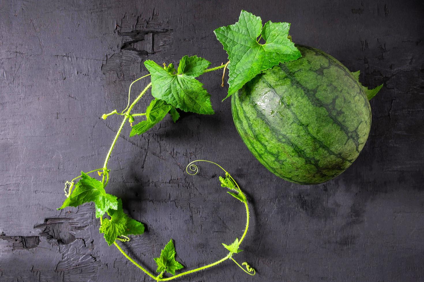 färsk vattenmelon och blad foto