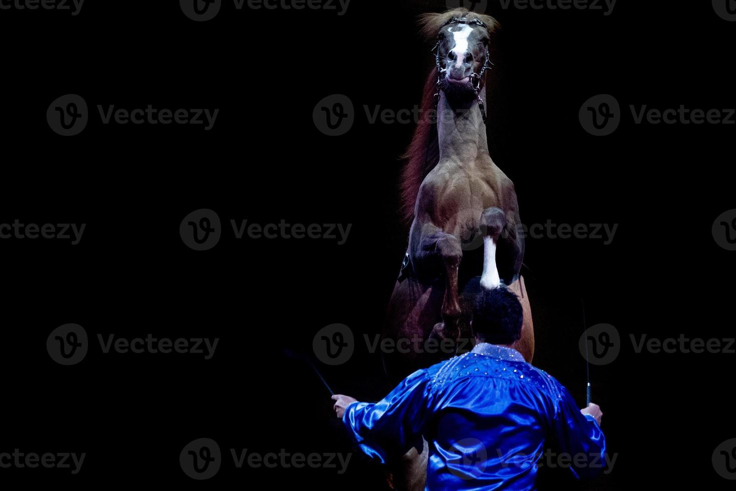 otrevlig cirkus mustang häst foto