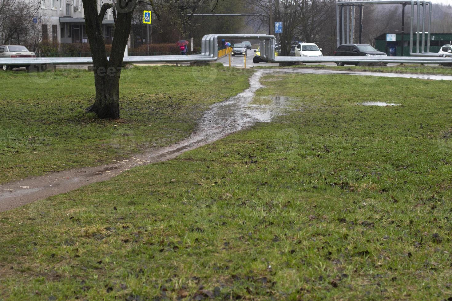 väg i parkera. regn utanför. väg genom grön zon. foto