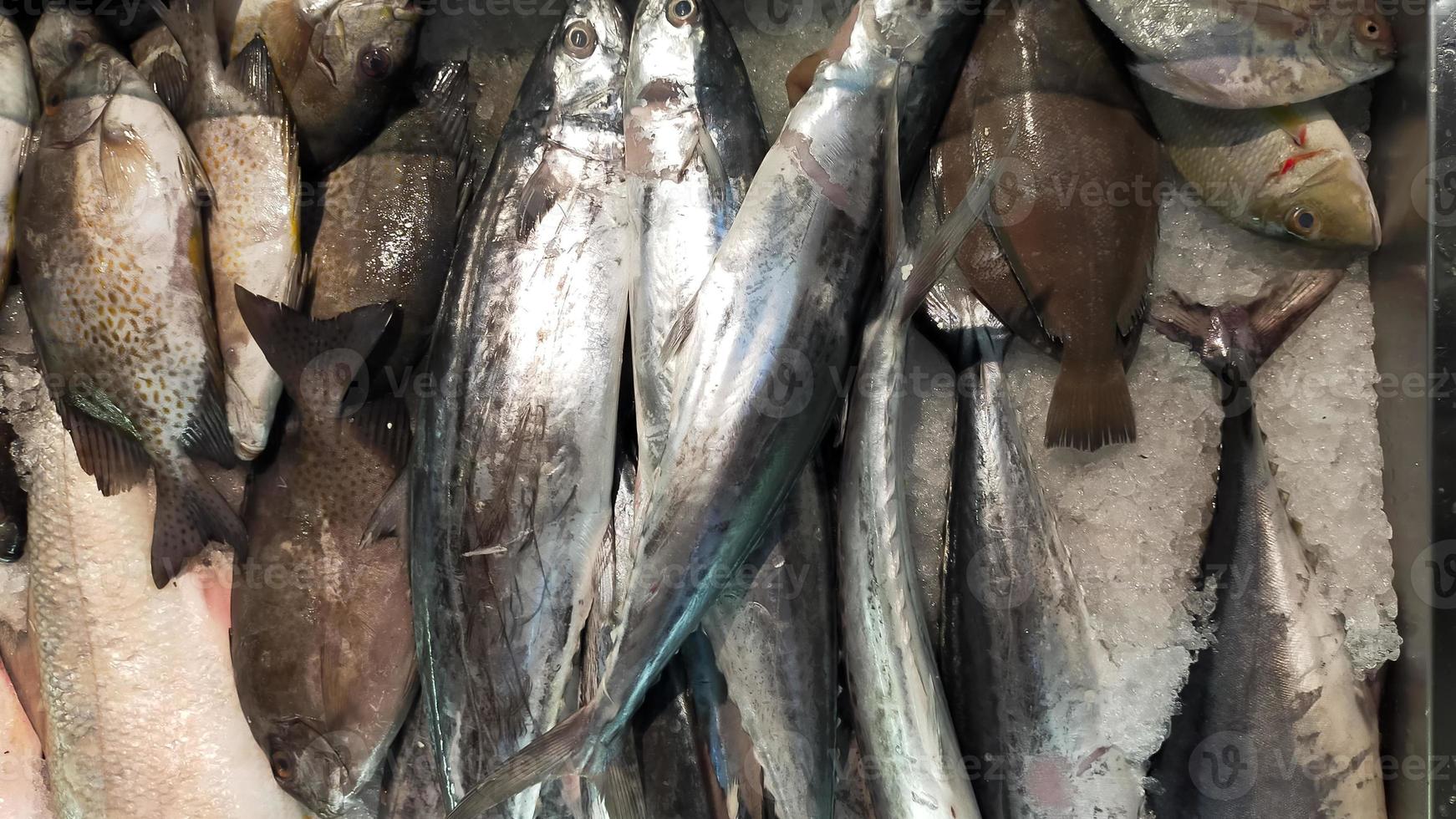 färsk fisk visa på de marknadsföra. foto