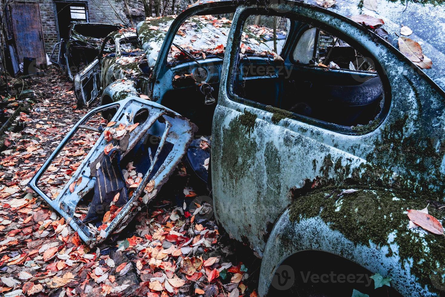 gammal övergiven bilar dumpade i de skog någonstans i Belgien. foto