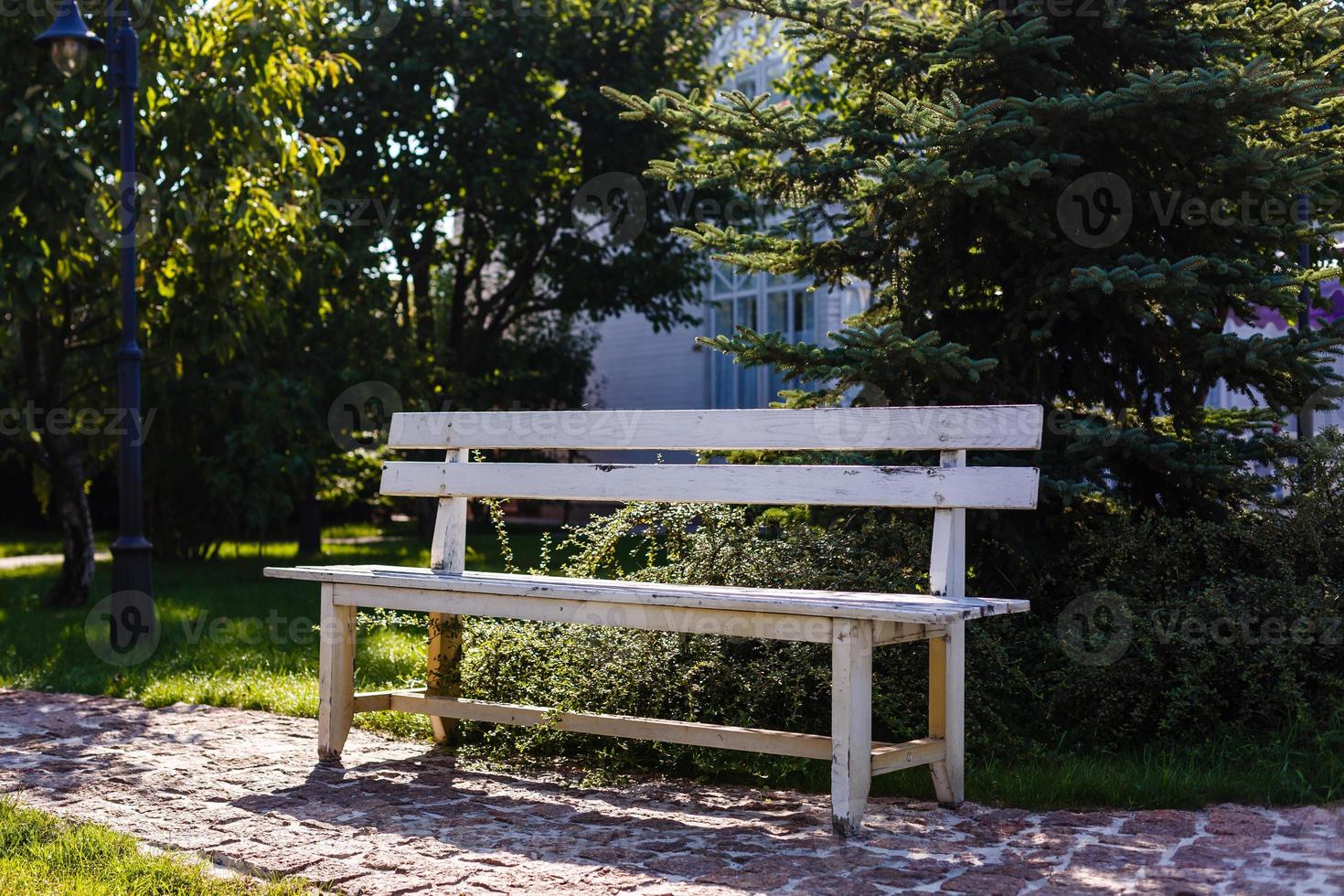 träbänk i parken foto