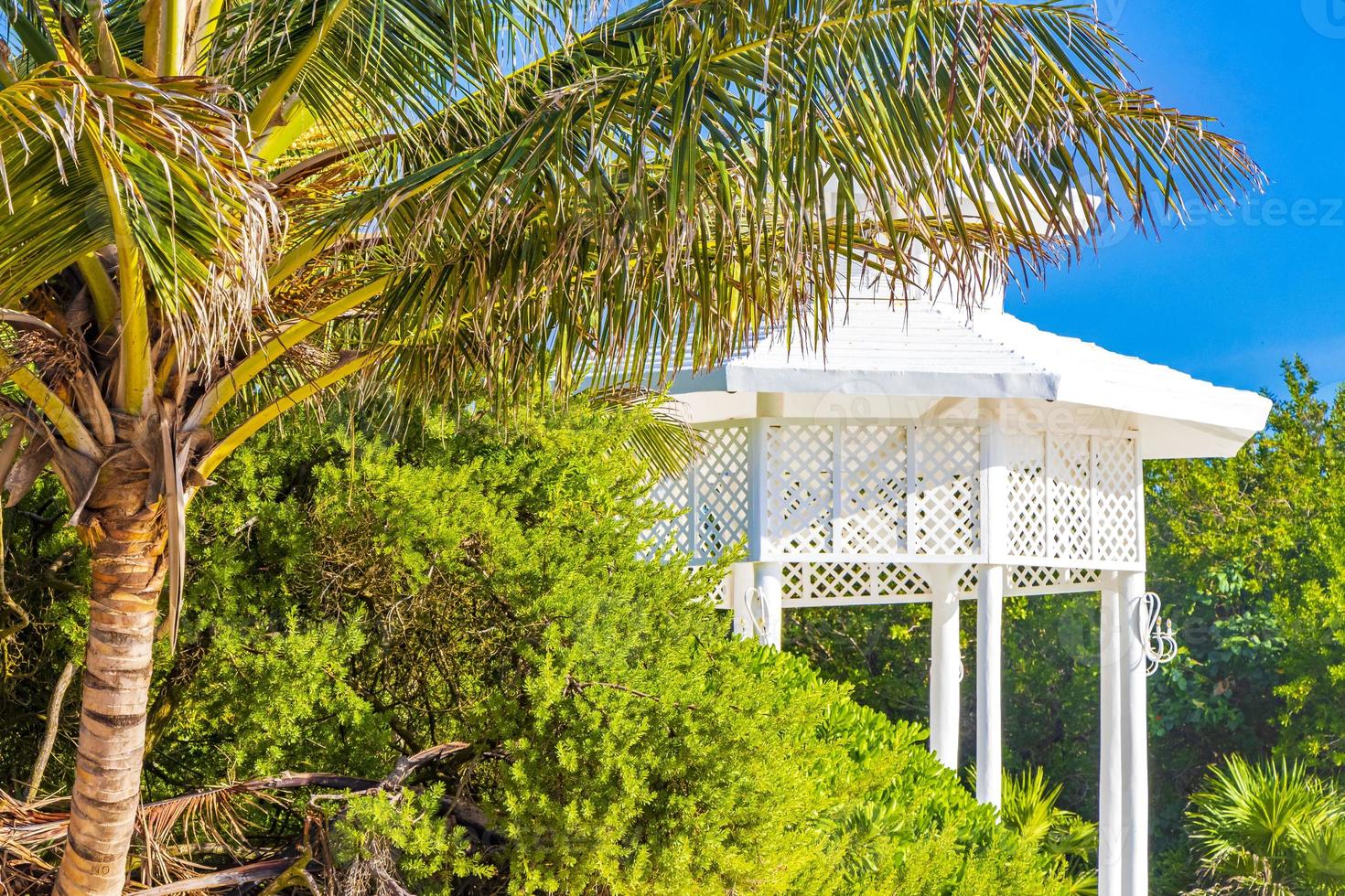 vit ädel pergula paviljong i paradis på strand palmer Mexiko. foto