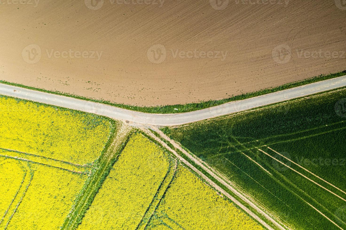 vertikal Drönare bild av våldta fält i vår i typisk ljus gul Färg foto