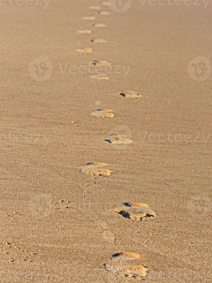 fotspår på sandig tropisk strand foto