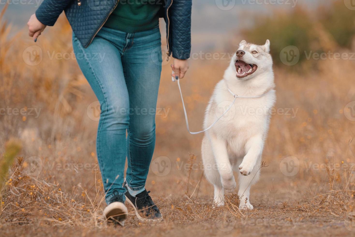 kvinna i jeans har roligt gående med en hes hund i de parkera foto