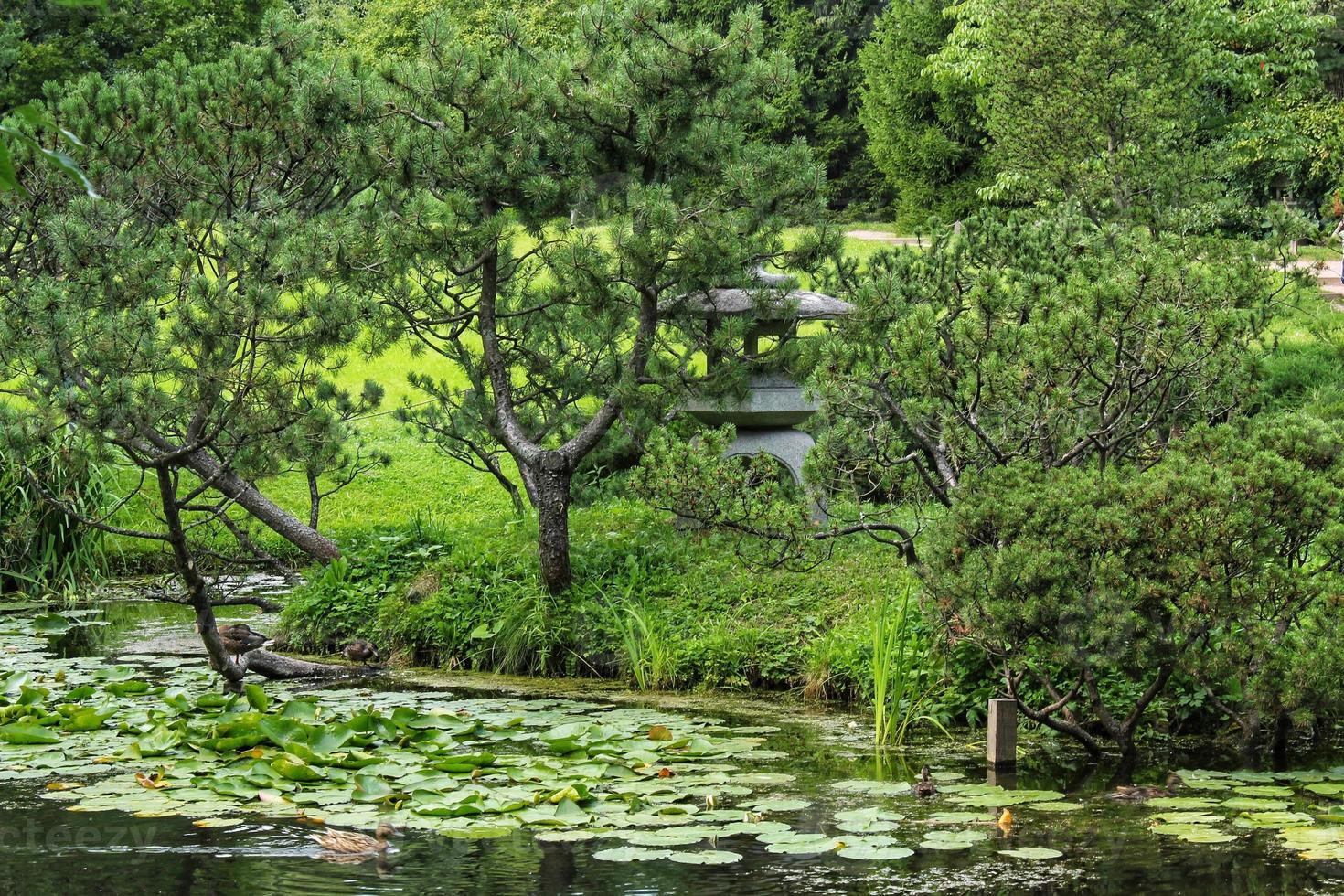 skön landskap se i japansk traditionell botanisk dekorativ trädgård. lugna natur scen av grön sommar sjö damm vatten och pagod lykta. zen, meditation, harmoni begrepp foto