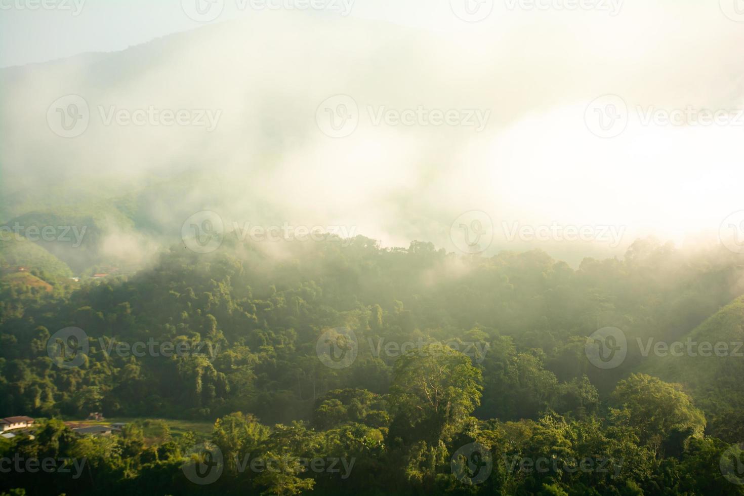 skön bergen under dimma i de morgon, dimma och moln tropisk landskap välkomnande resenärer. foto