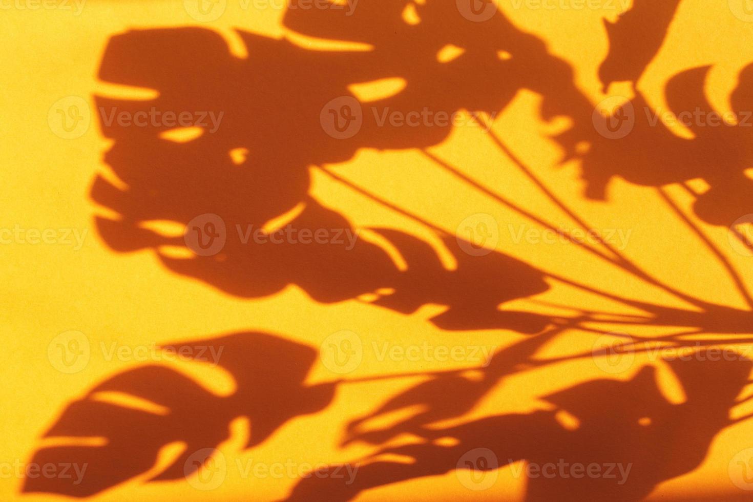 monstera blad skugga på orange bakgrund med Plats för text. natur bakgrund foto