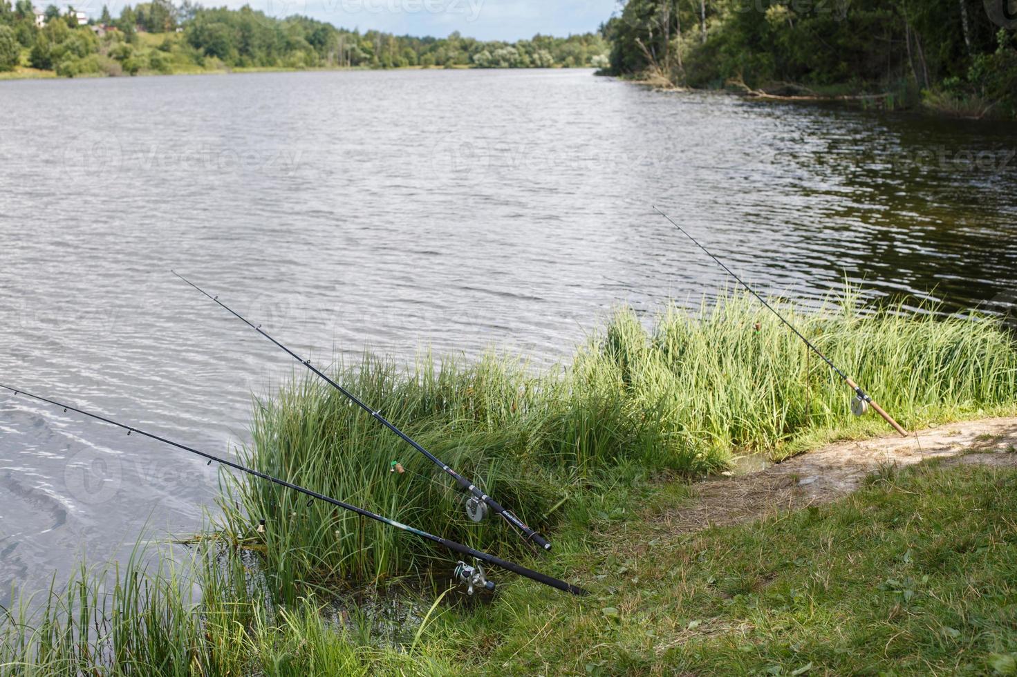 en fiske stavar på de sjö Strand. foto