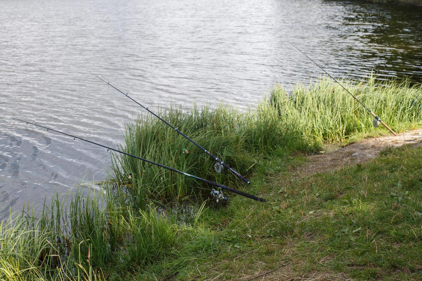 en fiske stavar på de sjö Strand. foto