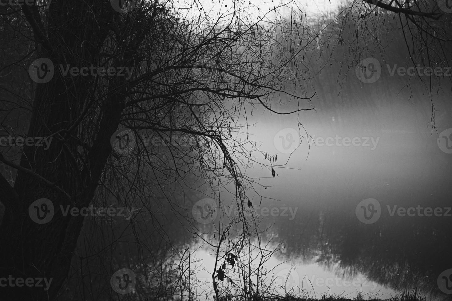 dimmig morgon- på sjö landskap Foto