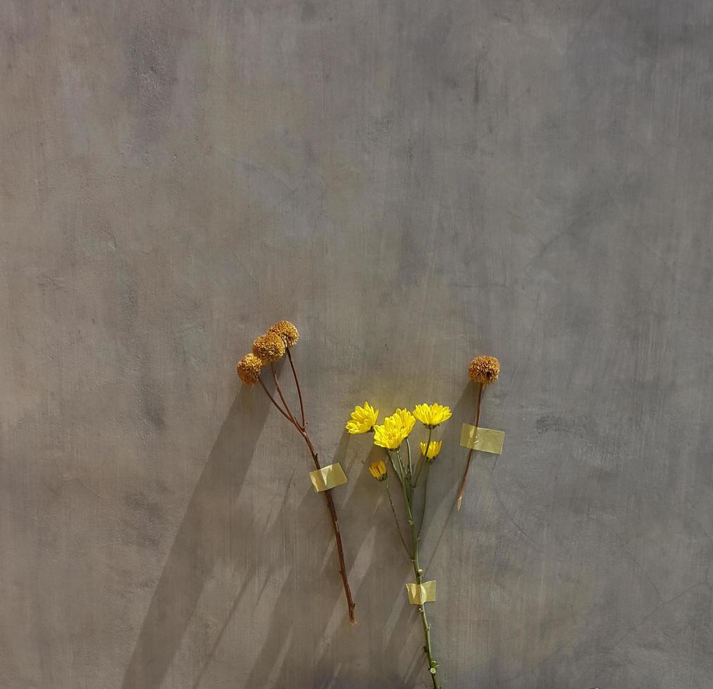 gula blommor på betong foto