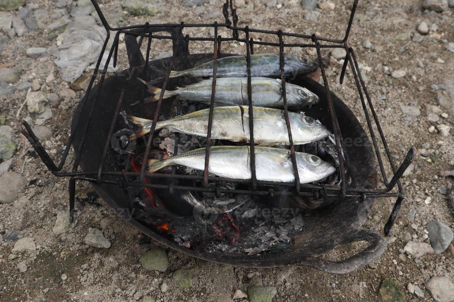 de bearbeta av framställning grillad fisk den där är bränt över kokos skal kol foto