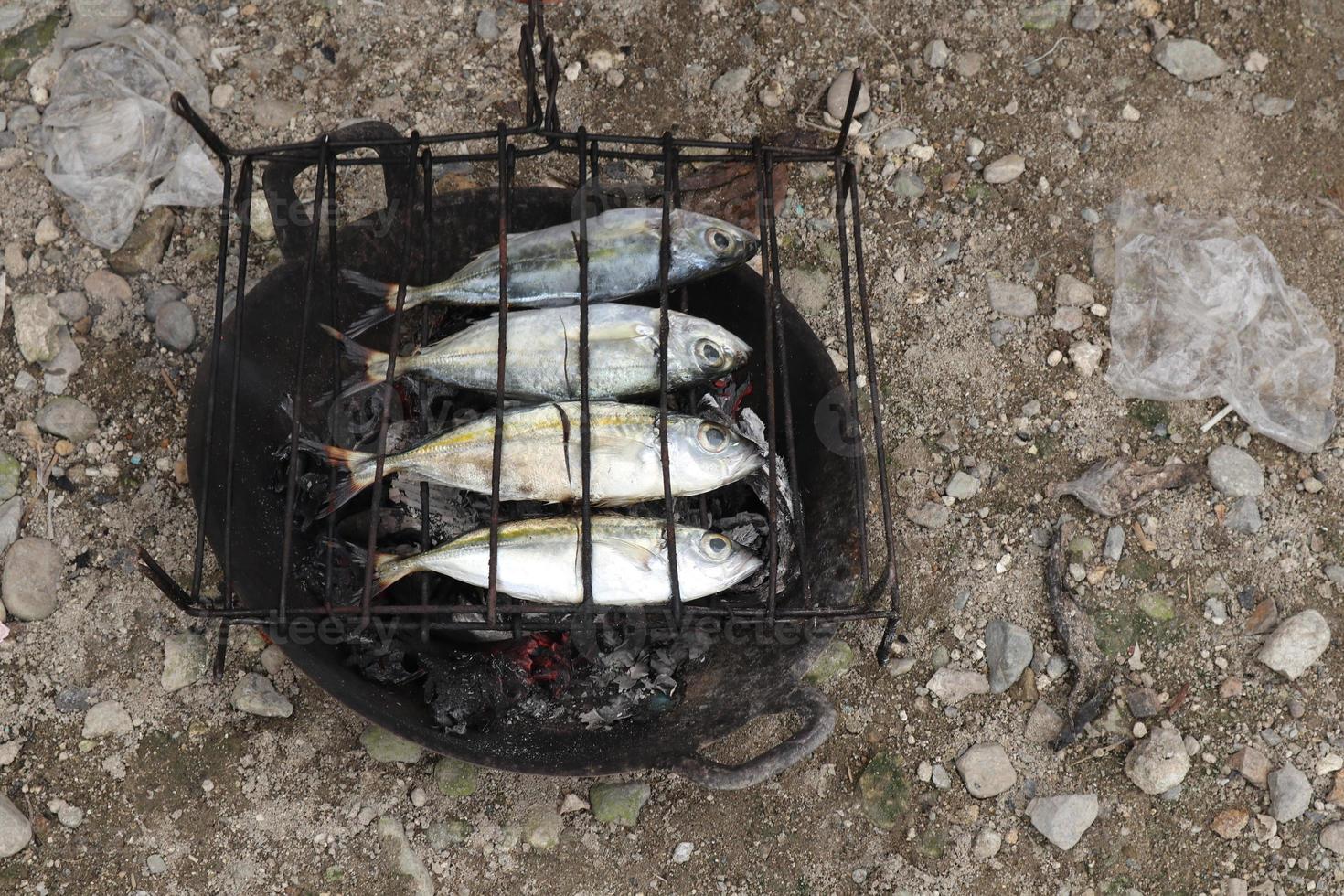 de bearbeta av framställning grillad fisk den där är bränt över kokos skal kol foto