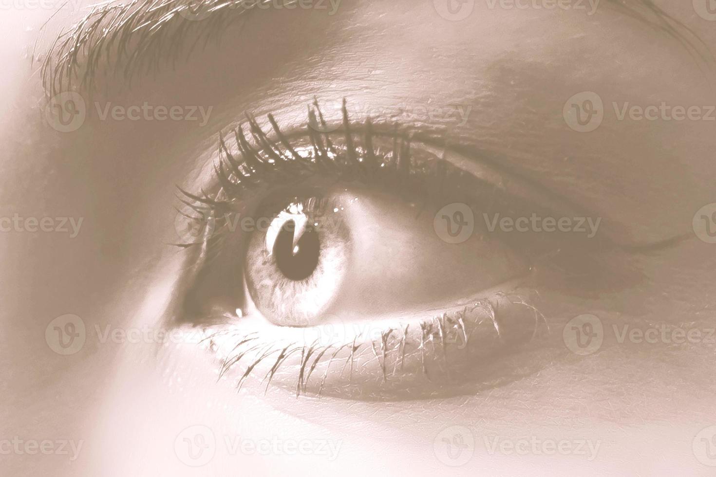 stänga upp se av skön kvinna öga perfekt trendig ögonbryn Bra syn Kontakt linser foto