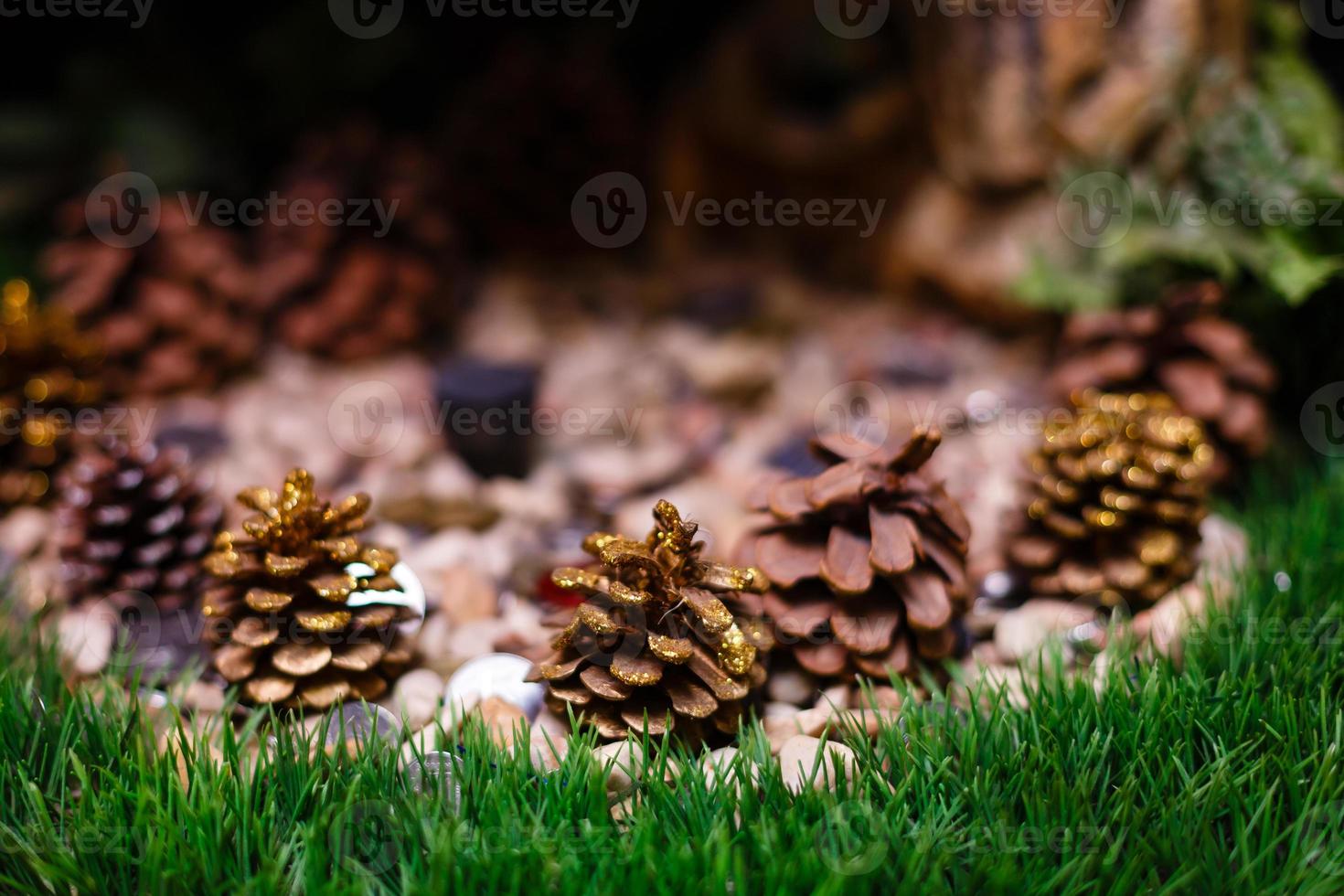 skön koner skog stötar på de gräs makro fotografi av koner foto