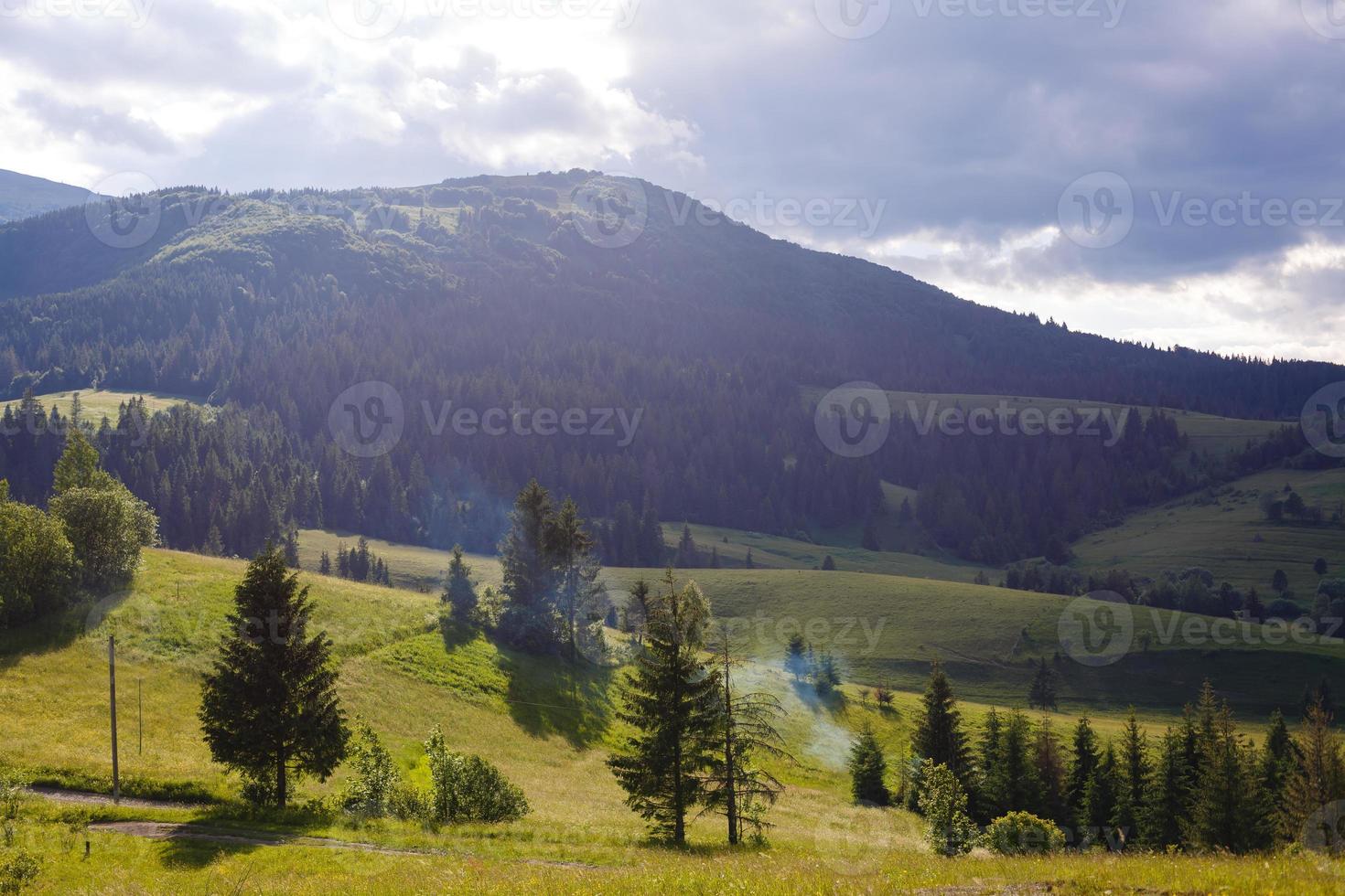 skön solig dag är i berg landskap. karpaterna, ukraina. foto