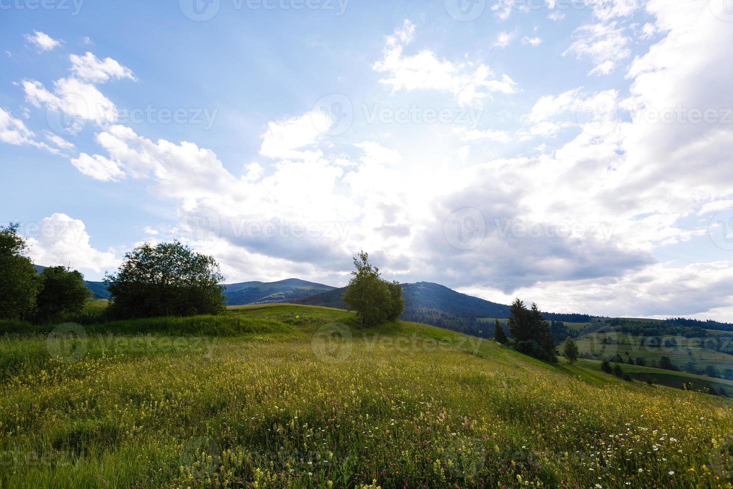 skön solig dag är i berg landskap. karpaterna, ukraina. foto