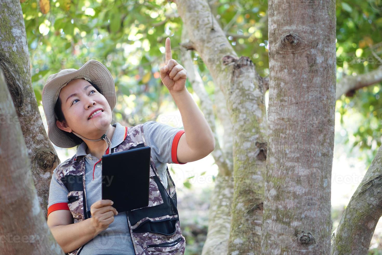 asiatisk kvinna botaniker är i skog, håll smart läsplatta till undersökning och samla information av botanisk växter förbi använder sig av smart läsplatta. begrepp , äventyr, fält forskning handla om miljö. foto