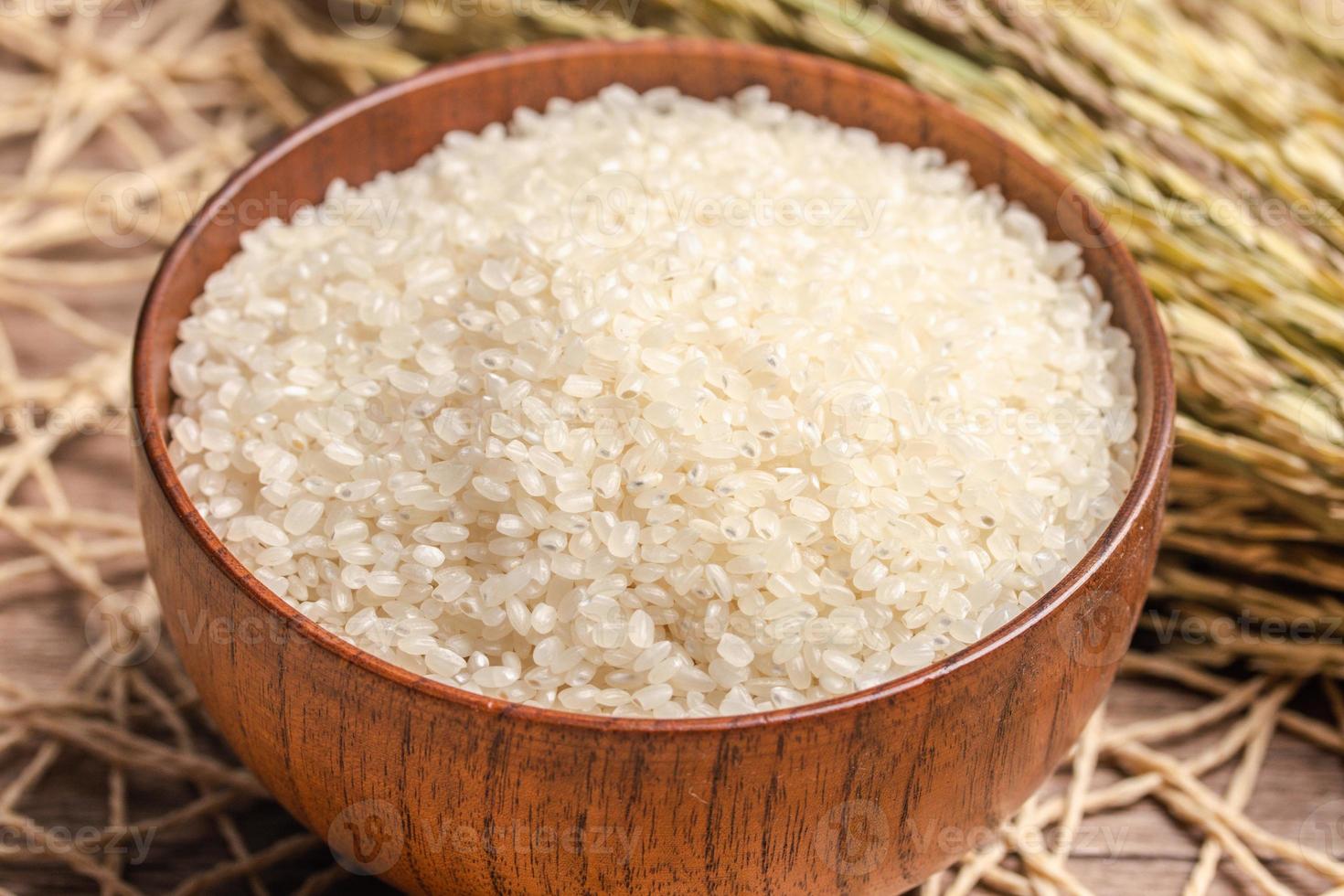 vit ris, masu och öron av ris på en vit bakgrund foto