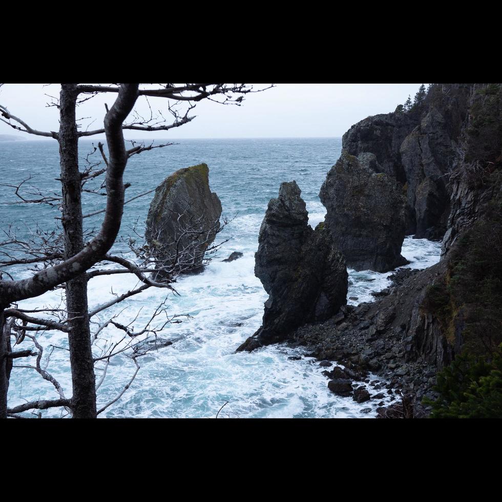 Oceanside klippor och stenar foto