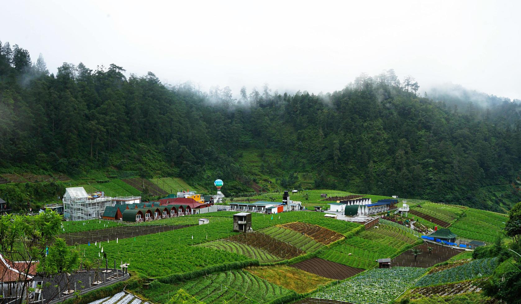 skön sommar i de Asien by grön fält se på de bakgrund av Land hus foto