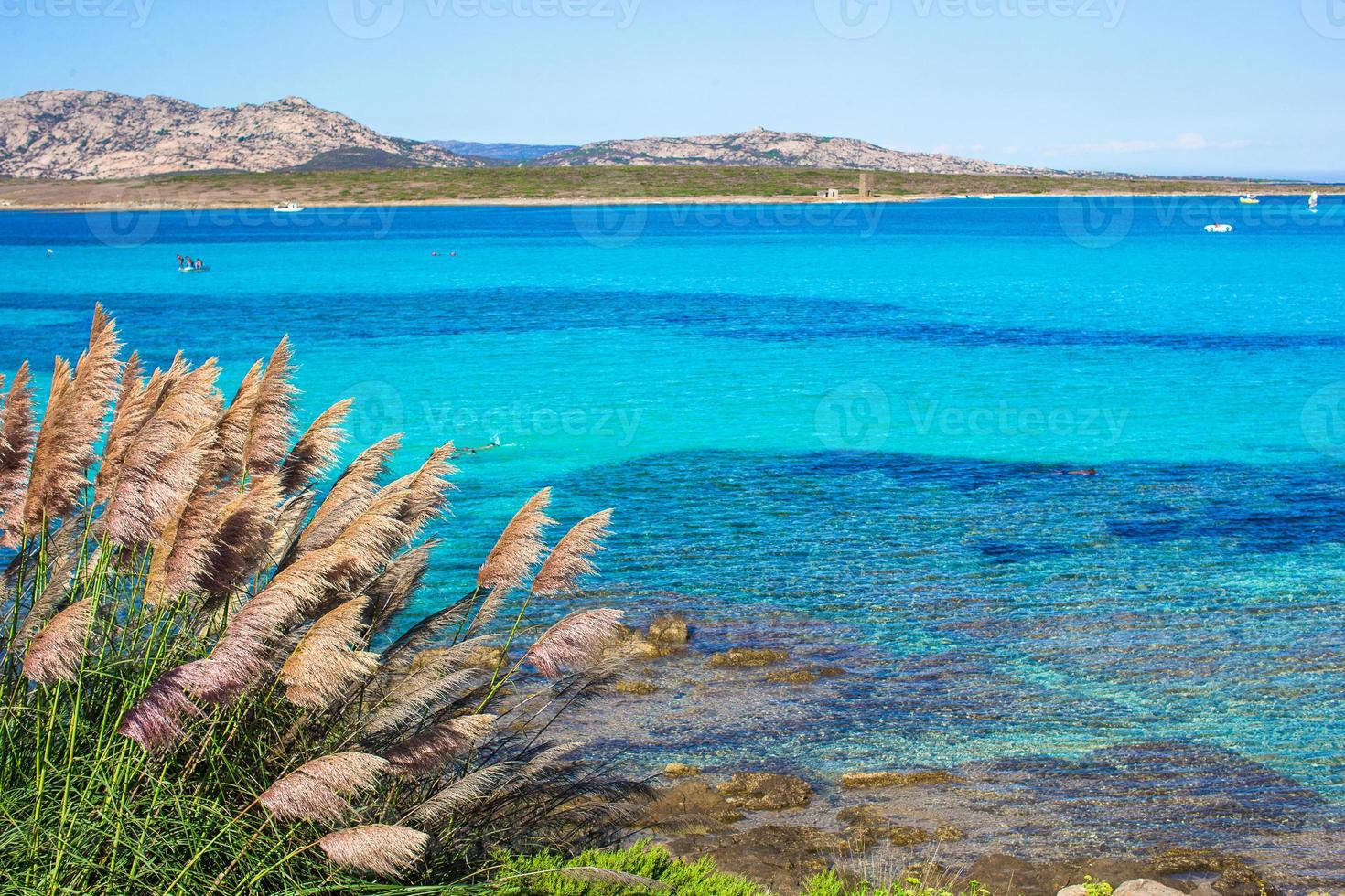 skön se av de turkos klar hav på sardinien foto