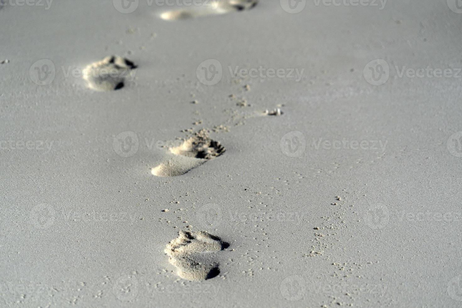 mänsklig spår på sand av en tropisk strand foto