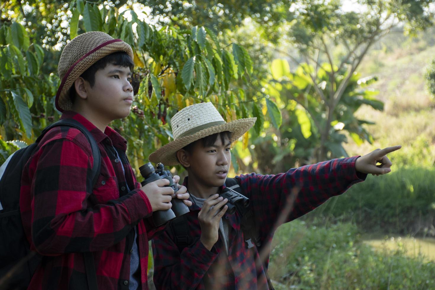 asiatisk Pojkar är använder sig av kikare till do de fåglar' tittar på i tropisk skog under sommar läger, aning för inlärning varelser och vilda djur och växter djur och insekter utanför de klassrum. foto