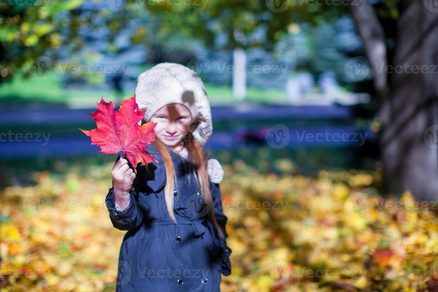 närbild röd lönn blad i de händer av liten flicka på skön falla dag foto