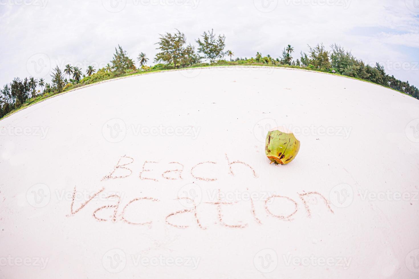 dröm skriven på sandig strand med mjuk hav Vinka på bakgrund foto