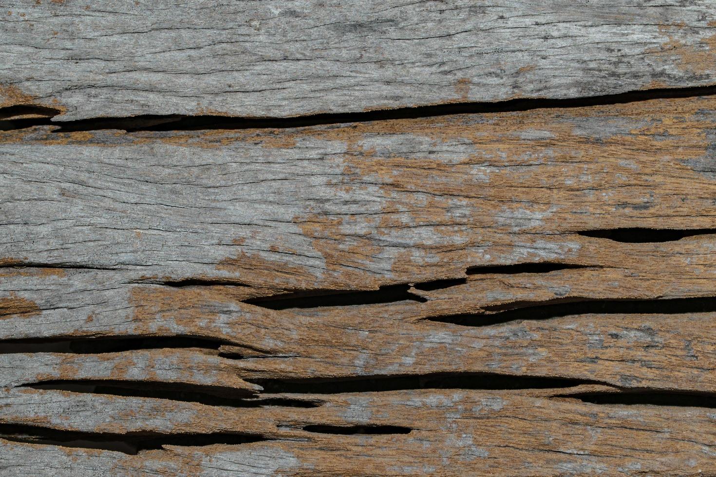 trä textur bakgrund foto