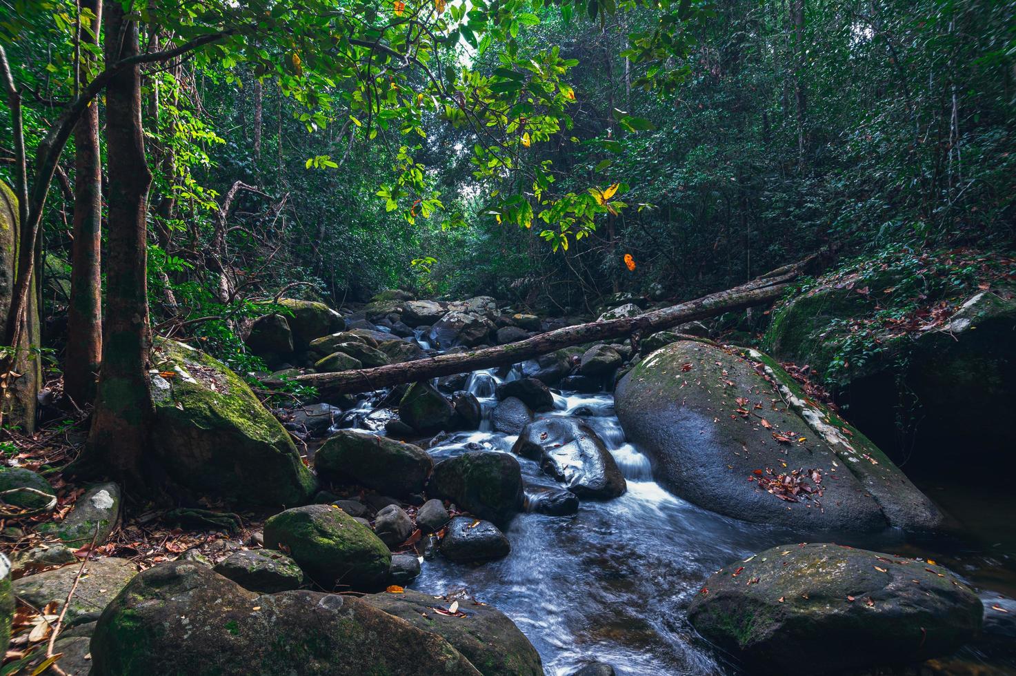 ström i khao chamao vattenfall nationalpark foto