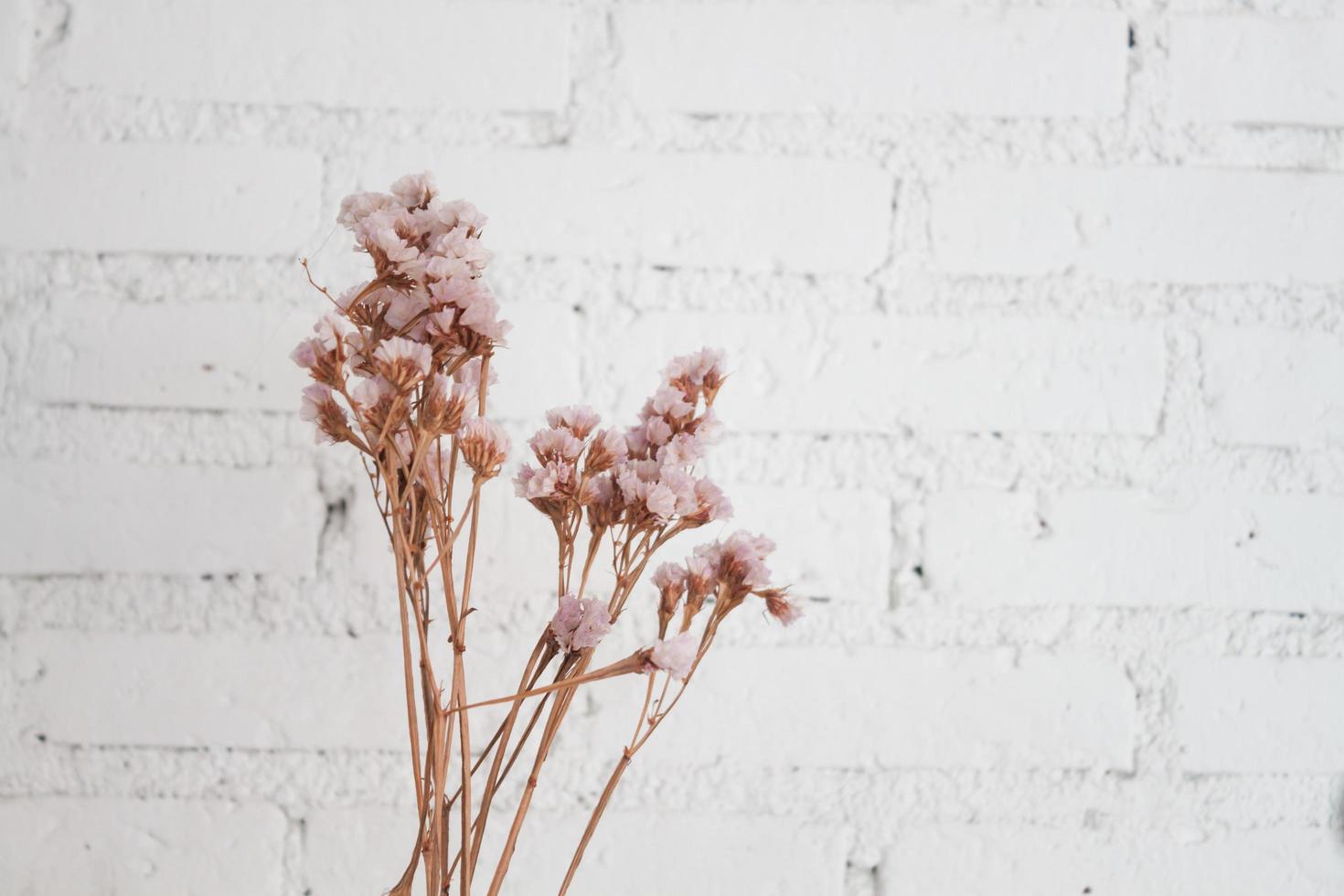 torkade blommor på en vit bakgrund foto