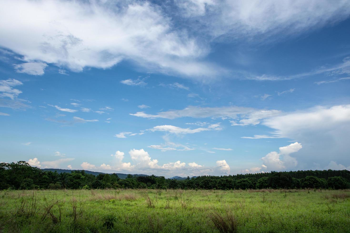 landskap i Thailand foto