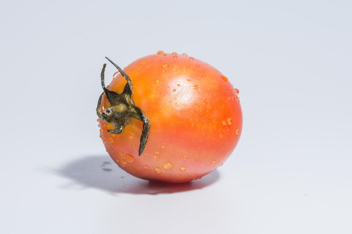 tomat på vit bakgrund foto