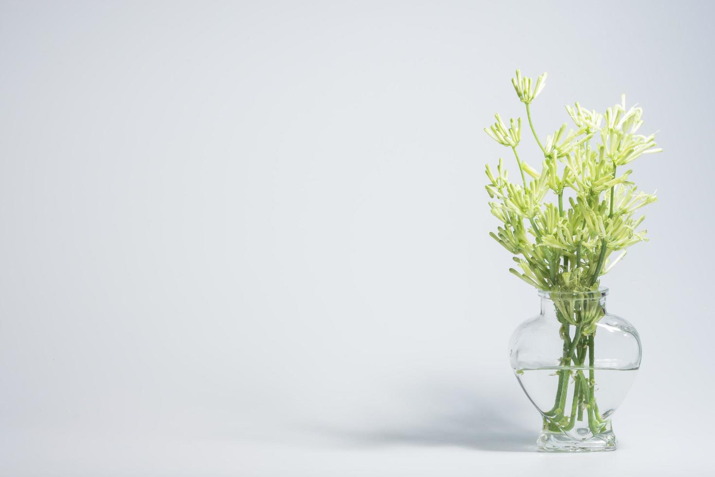 blommor i en glasvas på vit bakgrund foto