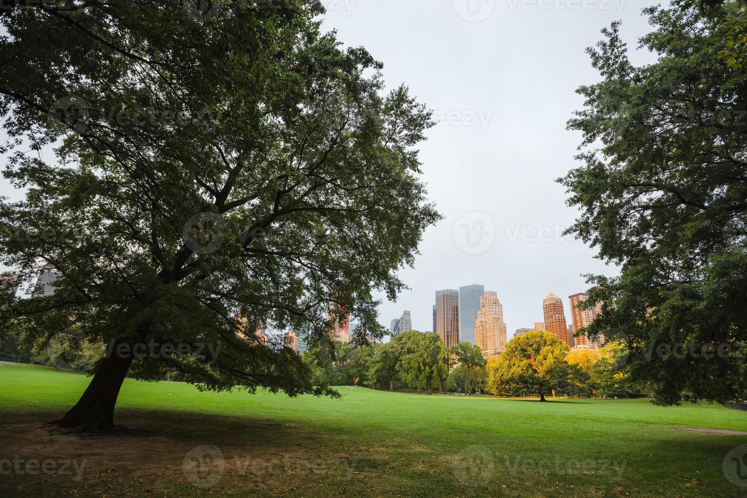 new york city central park foto