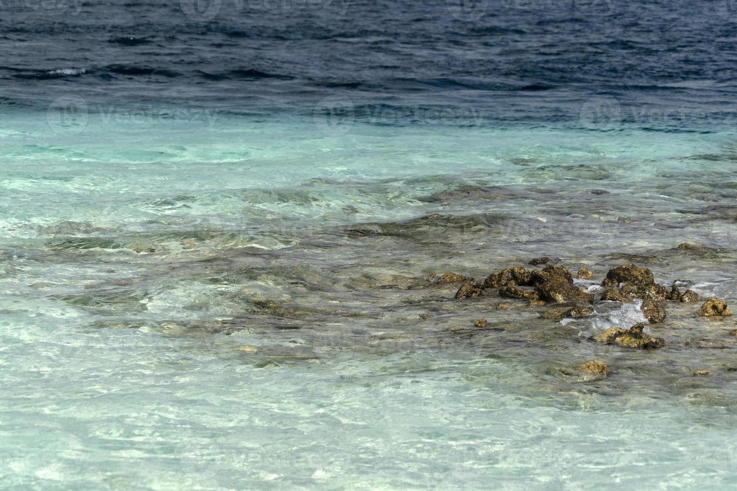 maldiverna kristall turkos vatten tropisk ö paradis sandig strand foto