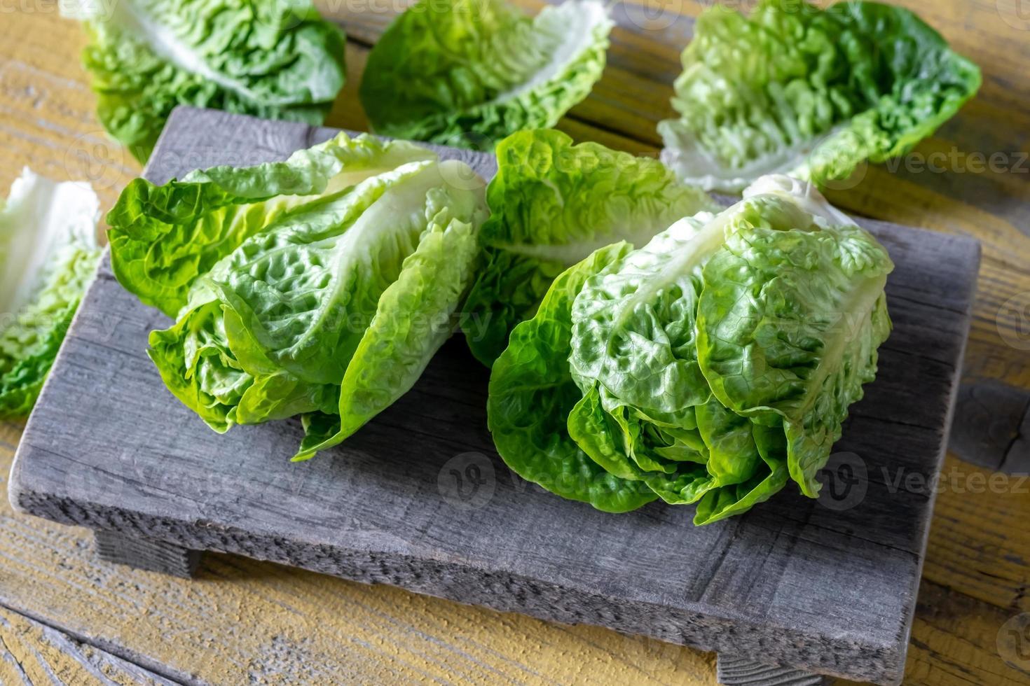 huvuden av romaine sallad foto