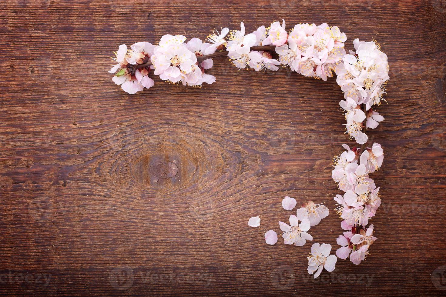 ram med blommande grenar på trä- styrelse foto