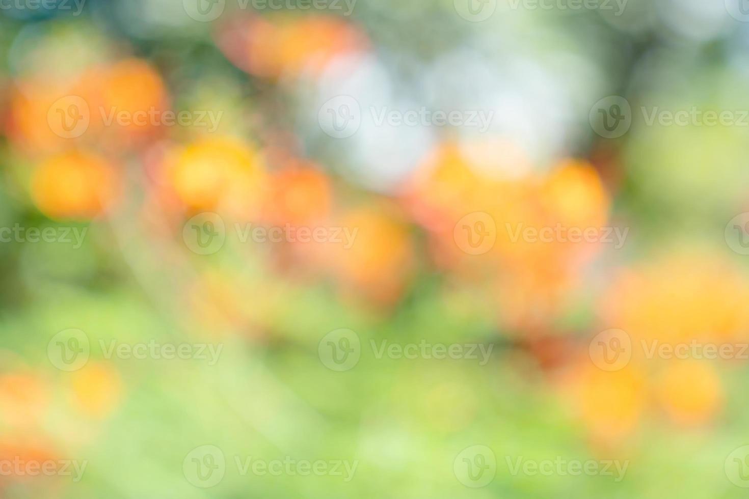 naturlig orange grön bokeh abstrakt bakgrund, suddig texturerad foto