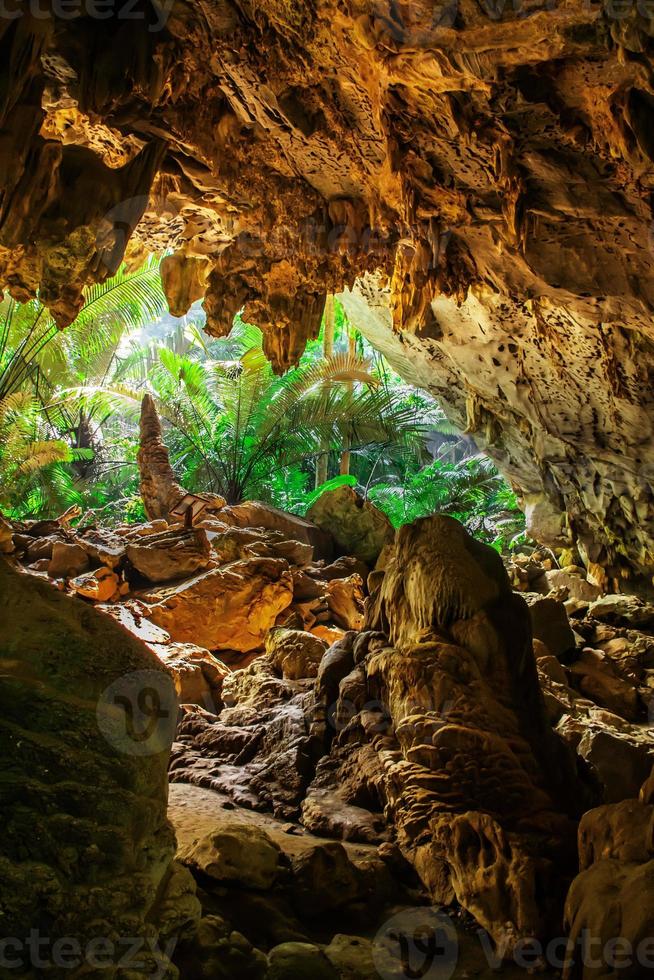 landskap av grotta och träd hup pa tat, uthai än mig, thailand foto