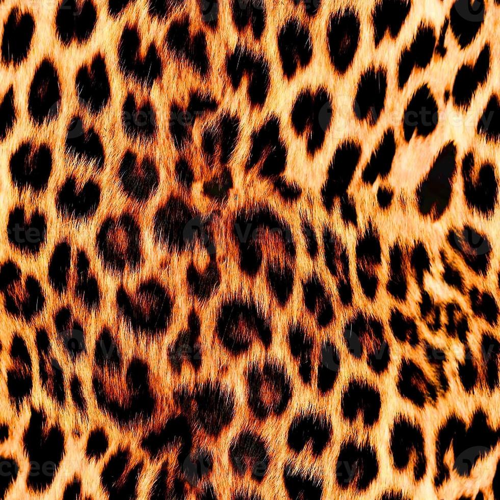 sömlös leopard mönster, leopard hud, djur- skriva ut. foto