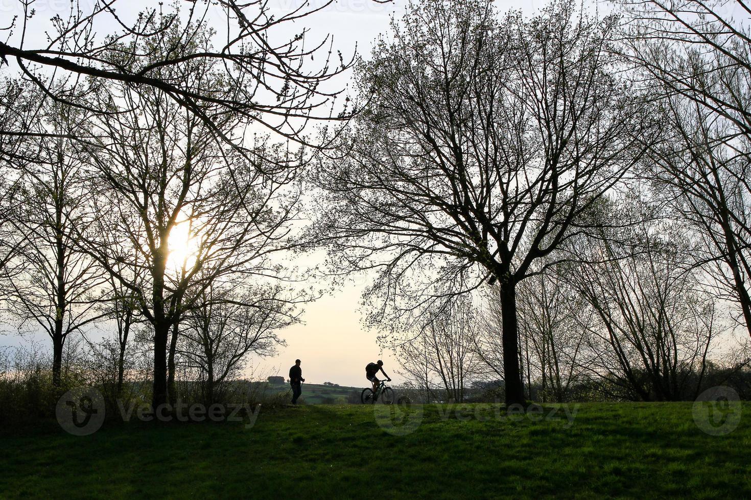 silhuett av människor ridning de cykel på en lantlig väg på solnedgång längs Donau flod i Regensburg, Tyskland, Europa. foto