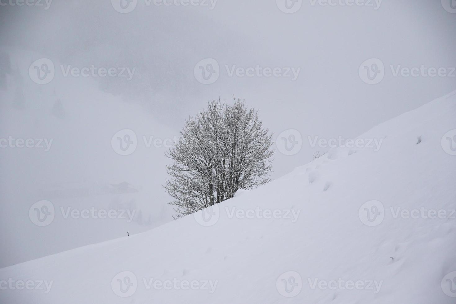 vinter- landskap i österrikiska alps foto