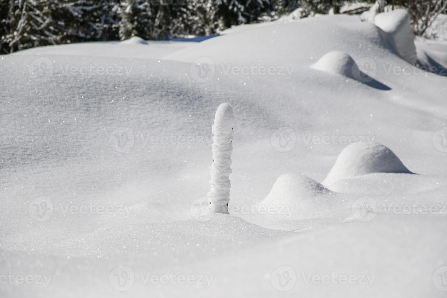 vinter- landskap i österrikiska alps foto