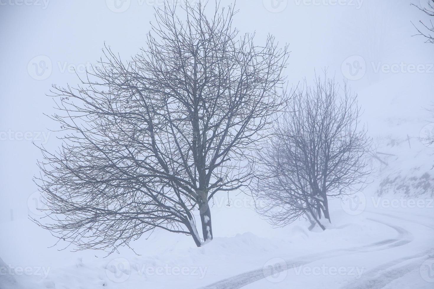 vinter- landskap i österrikiska alps foto