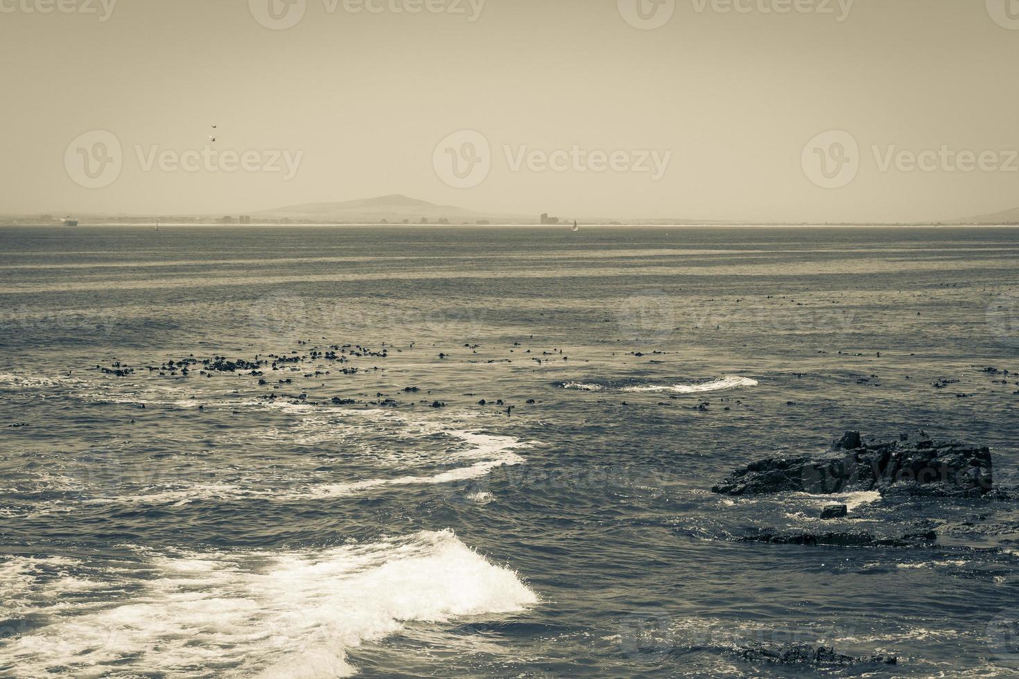 Robben island sett från Sea Point Kapstaden, Sydafrika. foto